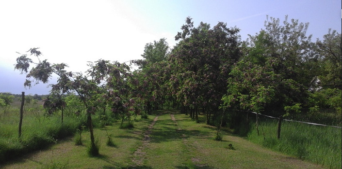 praktische tips rijden in de camper
